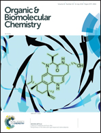 General and stereoselective aminoxylation of biradical titanium(IV) enolates with TEMPO: a detailed study on the effect of the chiral auxiliary
